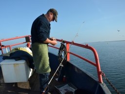 Competities HSV Alfheim